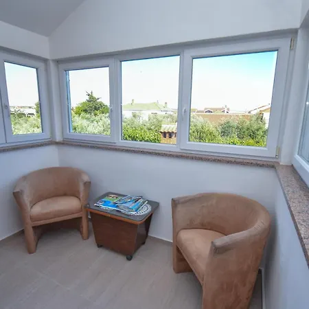 Vip * Zadar