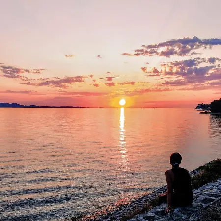 Vip * Zadar